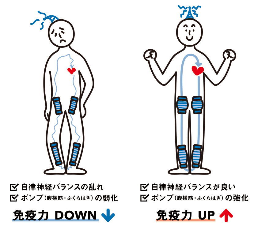 ピラティスと免疫力の関係